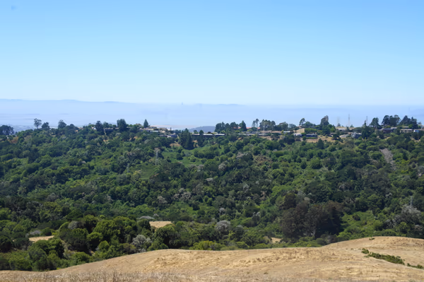 Wildcat Canyon Regional Park photo 2